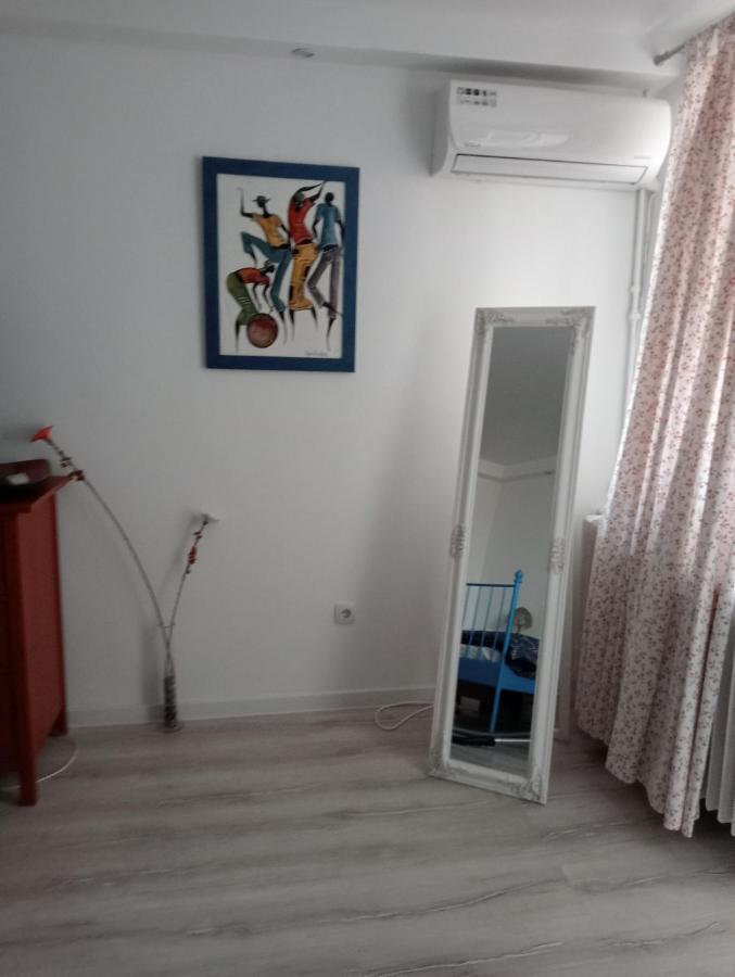 Skyline Central Apartment Тимишоара Экстерьер фото