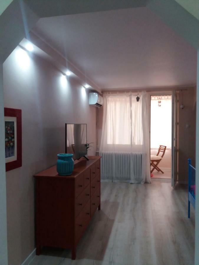Skyline Central Apartment Тимишоара Экстерьер фото
