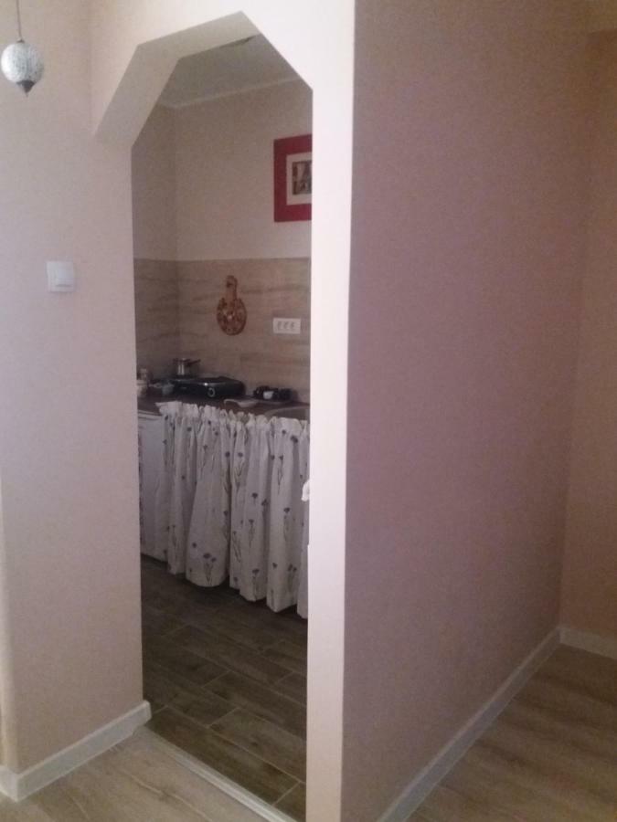 Skyline Central Apartment Тимишоара Экстерьер фото