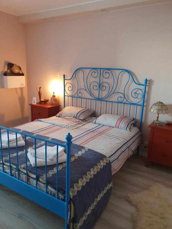 Skyline Central Apartment Тимишоара Экстерьер фото