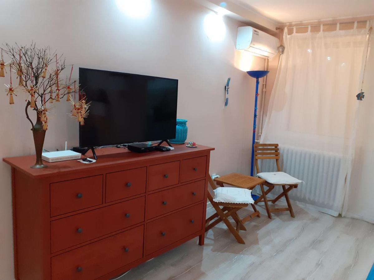 Skyline Central Apartment Тимишоара Экстерьер фото