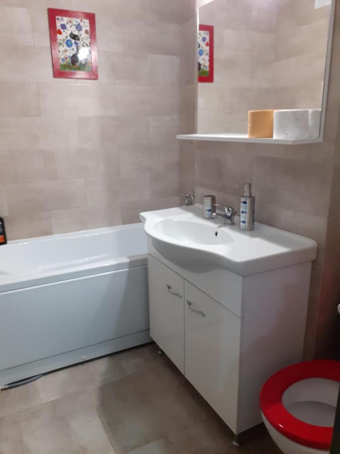 Skyline Central Apartment Тимишоара Экстерьер фото