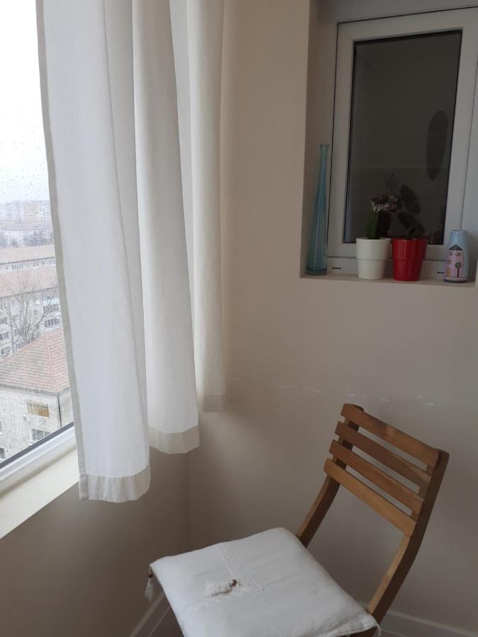 Skyline Central Apartment Тимишоара Экстерьер фото